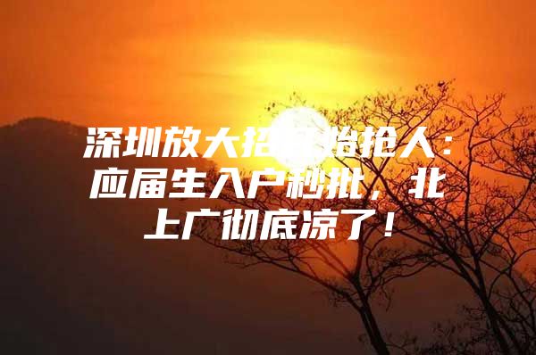 深圳放大招开始抢人：应届生入户秒批，北上广彻底凉了！