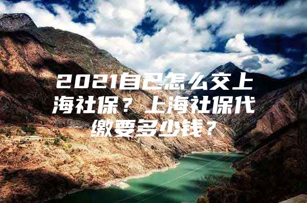 2021自己怎么交上海社保？上海社保代缴要多少钱？