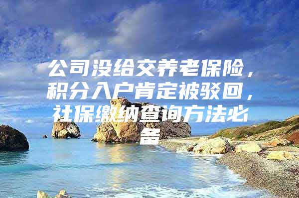 公司没给交养老保险，积分入户肯定被驳回，社保缴纳查询方法必备