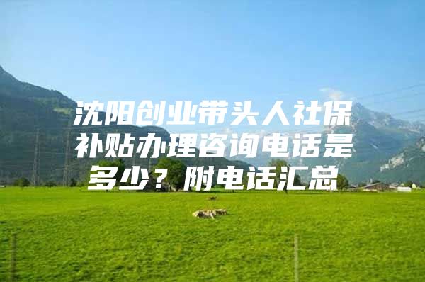 沈阳创业带头人社保补贴办理咨询电话是多少？附电话汇总