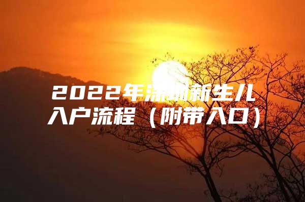 2022年深圳新生儿入户流程（附带入口）