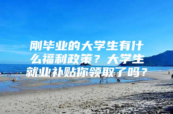 刚毕业的大学生有什么福利政策？大学生就业补贴你领取了吗？