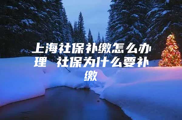 上海社保补缴怎么办理 社保为什么要补缴