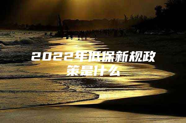 2022年低保新规政策是什么