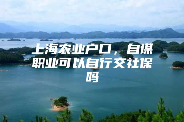 上海农业户口，自谋职业可以自行交社保吗