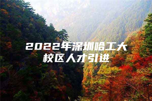 2022年深圳哈工大校区人才引进