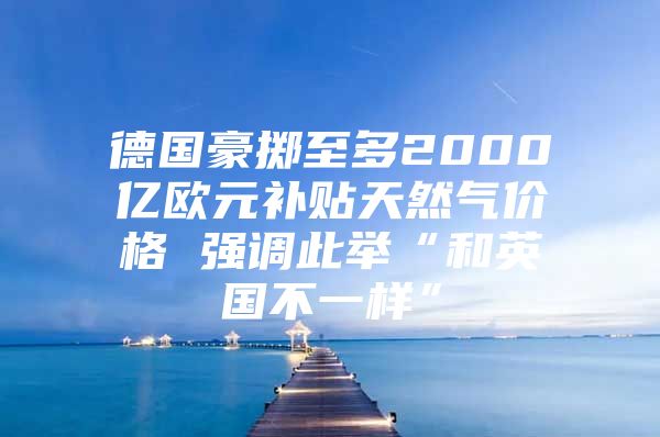 德国豪掷至多2000亿欧元补贴天然气价格 强调此举“和英国不一样”