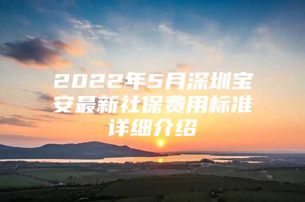 2022年5月深圳宝安最新社保费用标准详细介绍