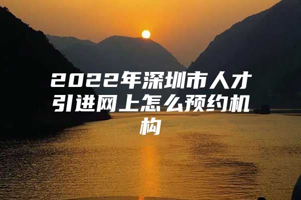 2022年深圳市人才引进网上怎么预约机构