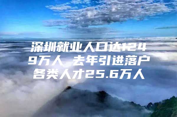 深圳就业人口达1249万人 去年引进落户各类人才25.6万人