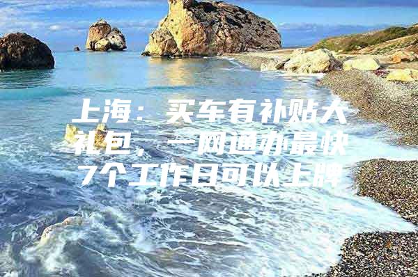 上海：买车有补贴大礼包，一网通办最快7个工作日可以上牌