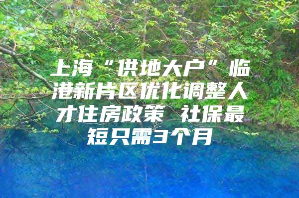 上海“供地大户”临港新片区优化调整人才住房政策 社保最短只需3个月