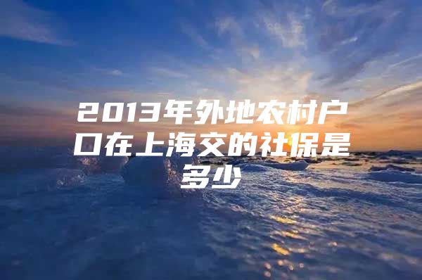 2013年外地农村户口在上海交的社保是多少