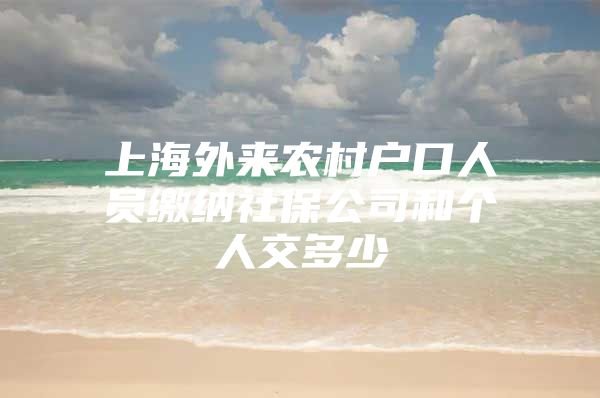 上海外来农村户口人员缴纳社保公司和个人交多少