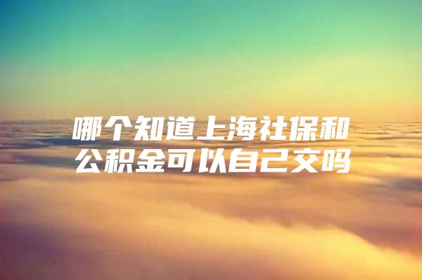 哪个知道上海社保和公积金可以自己交吗