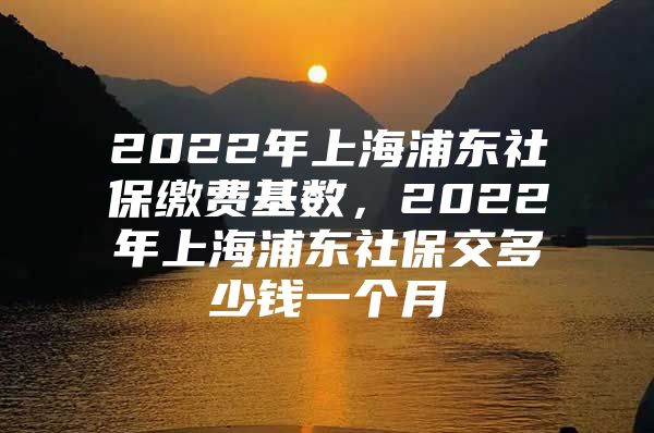 2022年上海浦东社保缴费基数，2022年上海浦东社保交多少钱一个月