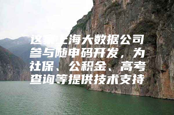 这家上海大数据公司参与随申码开发，为社保、公积金、高考查询等提供技术支持