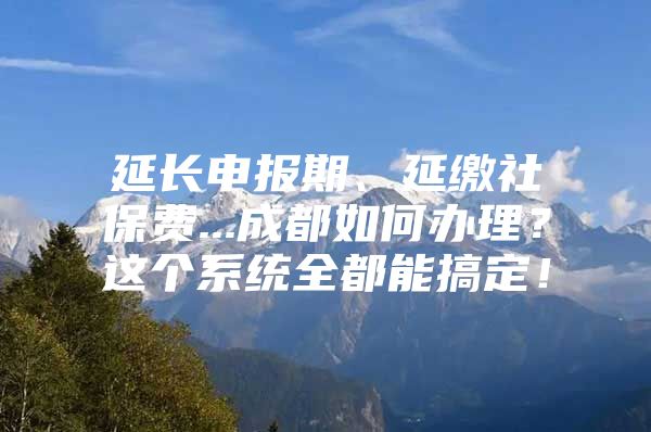 延长申报期、延缴社保费...成都如何办理？这个系统全都能搞定！