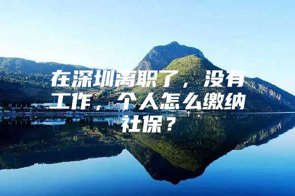 在深圳离职了，没有工作，个人怎么缴纳社保？