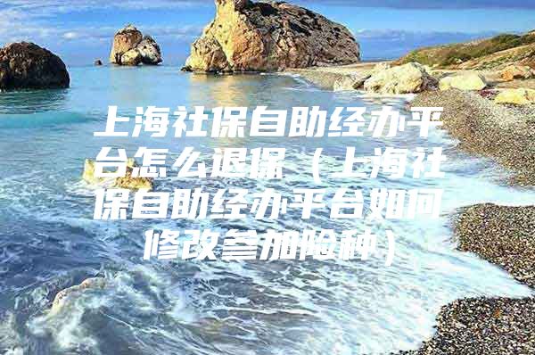 上海社保自助经办平台怎么退保（上海社保自助经办平台如何修改参加险种）