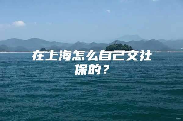 在上海怎么自己交社保的？