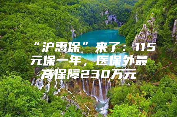 “沪惠保”来了：115元保一年，医保外最高保障230万元