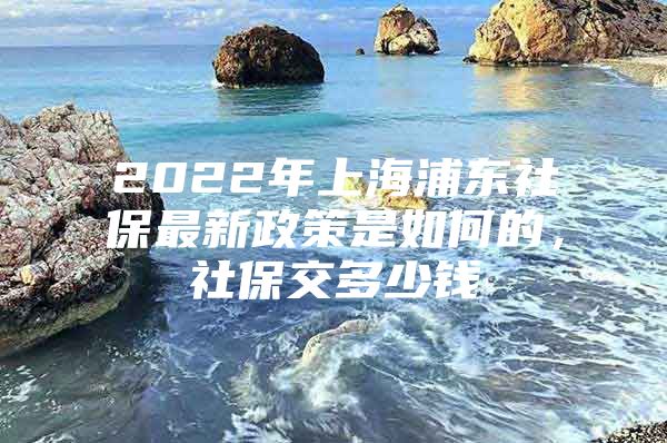 2022年上海浦东社保最新政策是如何的，社保交多少钱