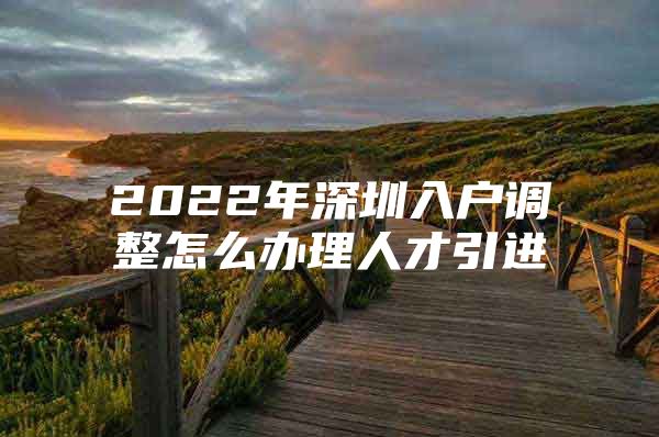 2022年深圳入户调整怎么办理人才引进