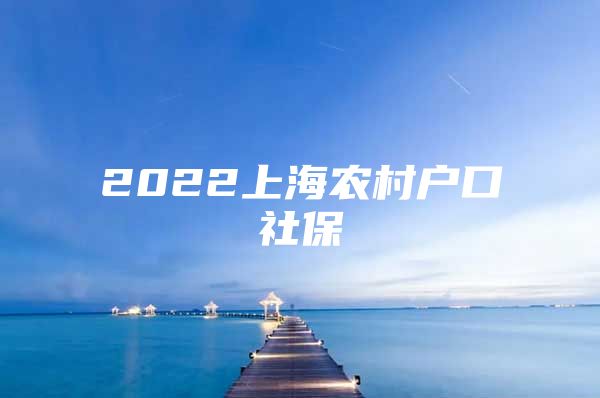 2022上海农村户口社保