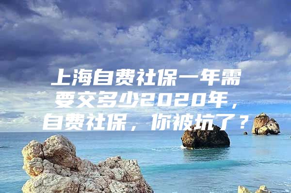 上海自费社保一年需要交多少2020年，自费社保，你被坑了？