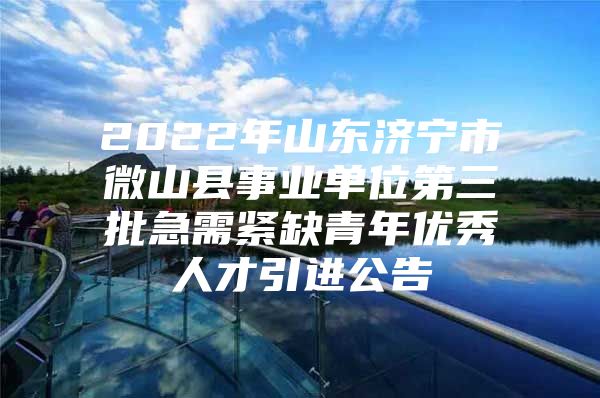 2022年山东济宁市微山县事业单位第三批急需紧缺青年优秀人才引进公告